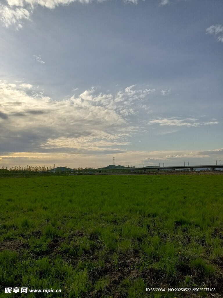 廣袤綠野上的天空美景