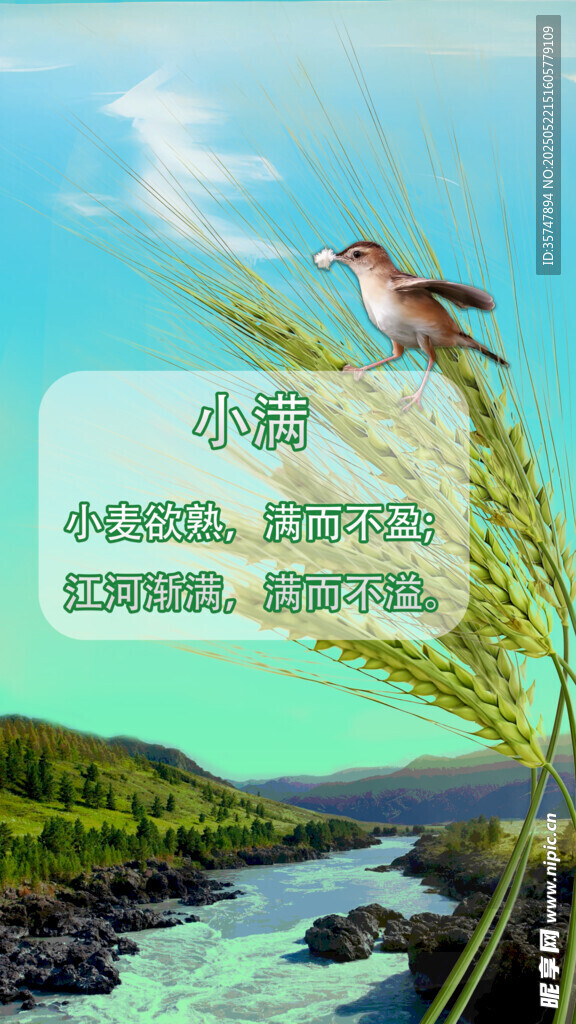 節氣 小滿