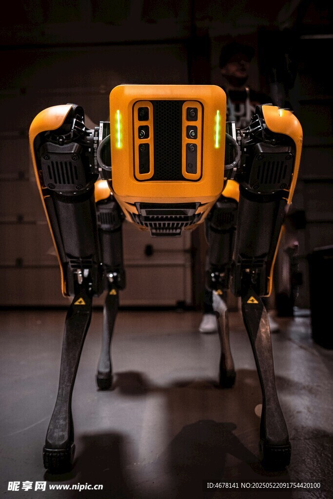 橙色機械狗展示獨特外觀