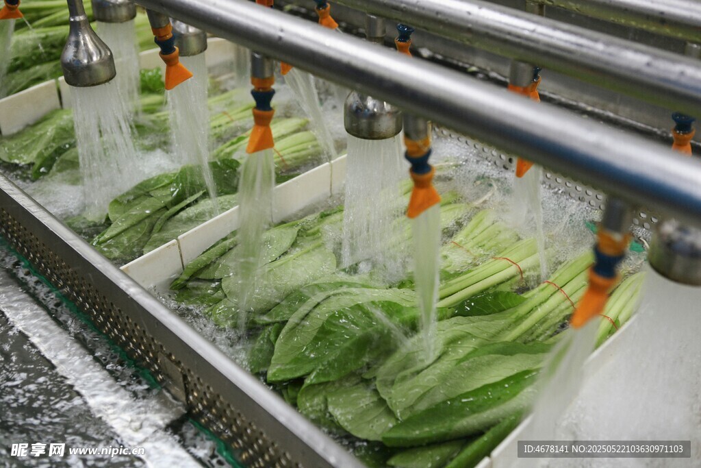 蔬菜自動化清洗流水線