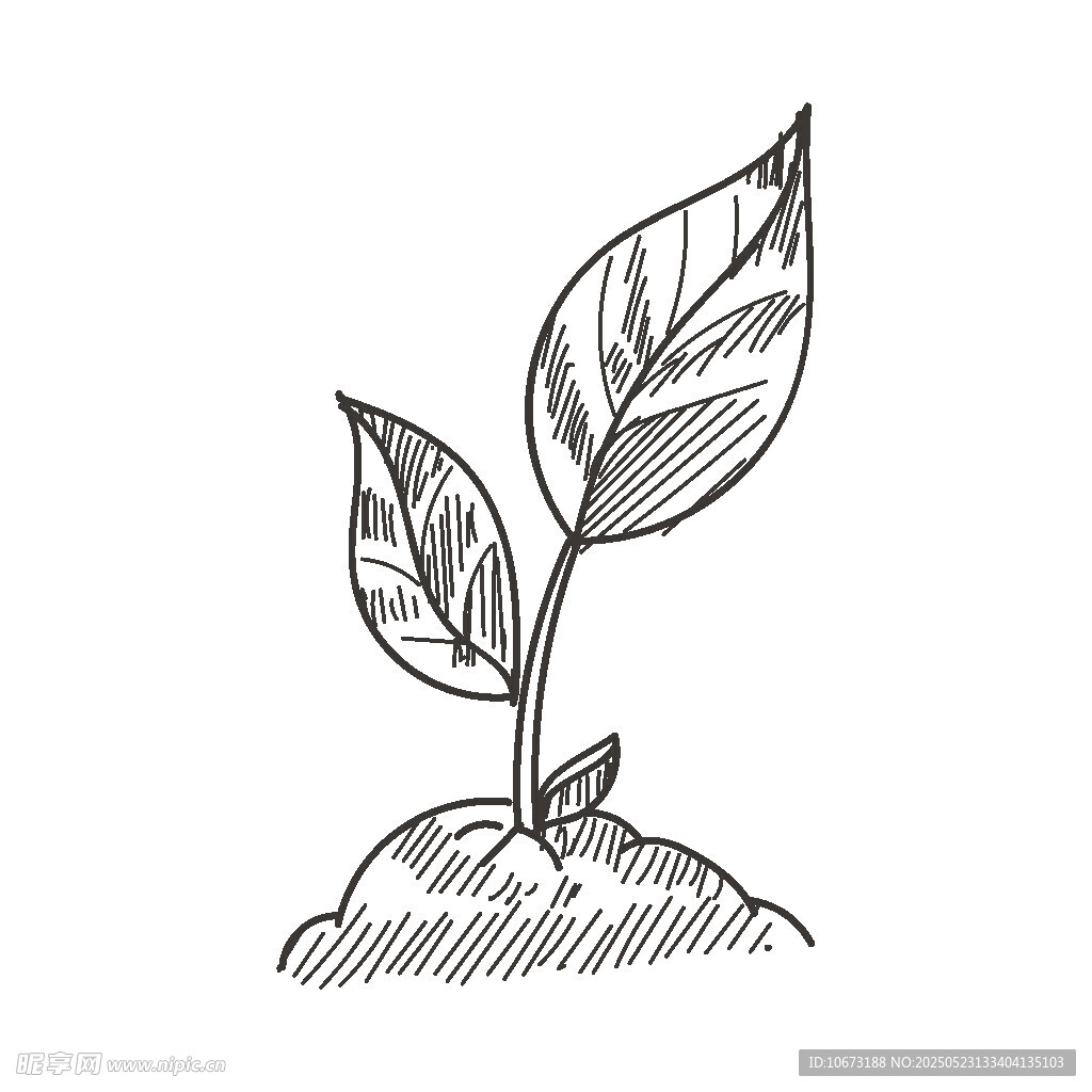 手繪新生植物幼苗