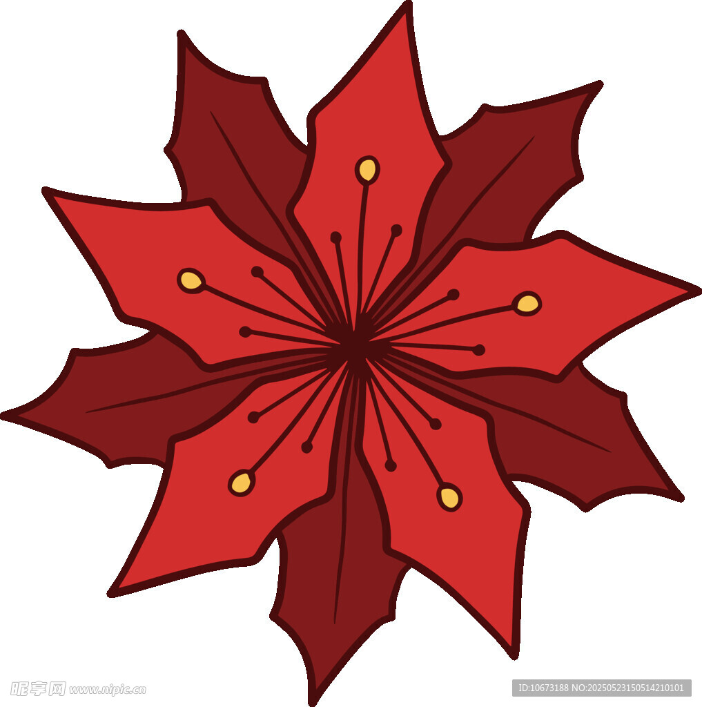 紅色手繪一品紅花朵