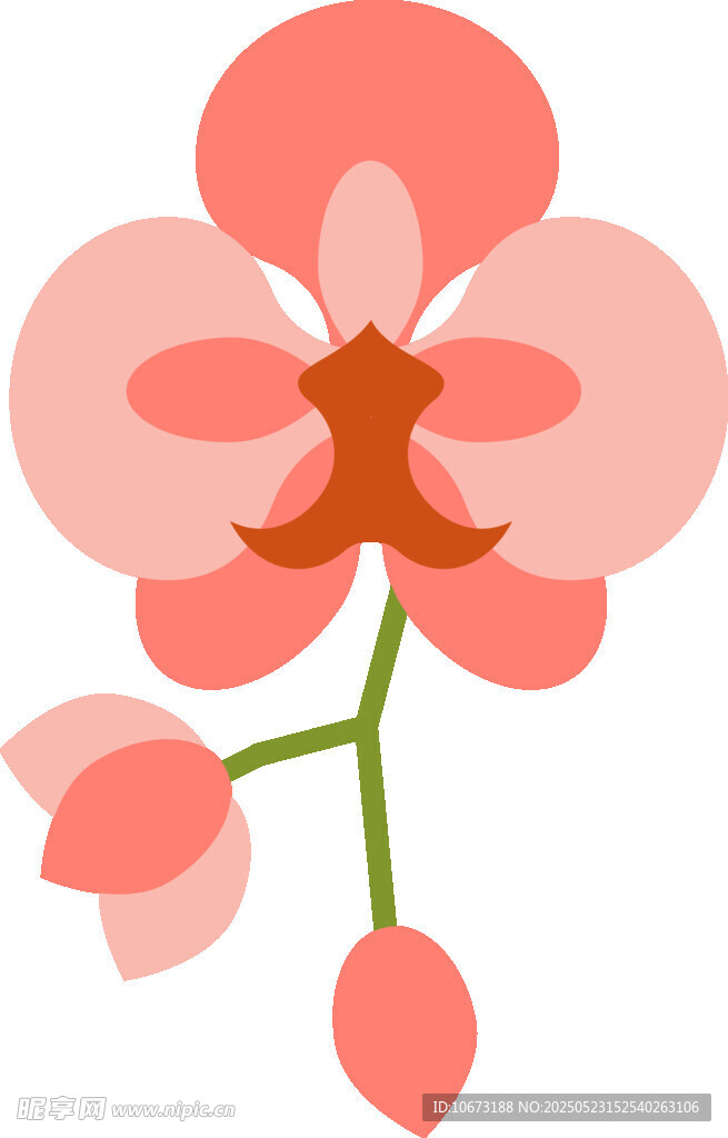 粉色蘭花插畫
