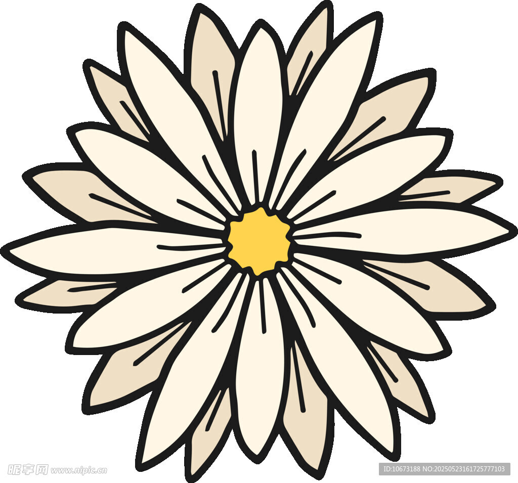 簡(jiǎn)約手繪白色雛菊?qǐng)D案
