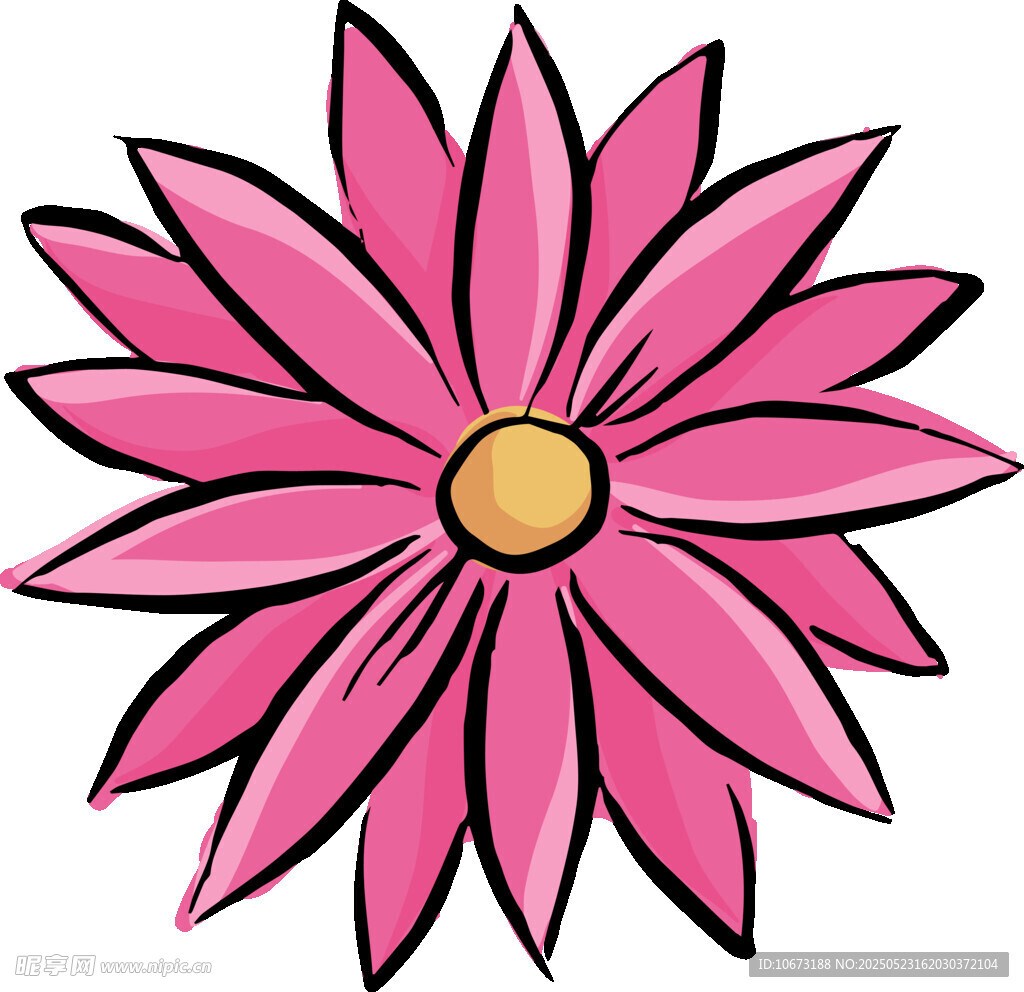 粉色花朵插畫圖案設計