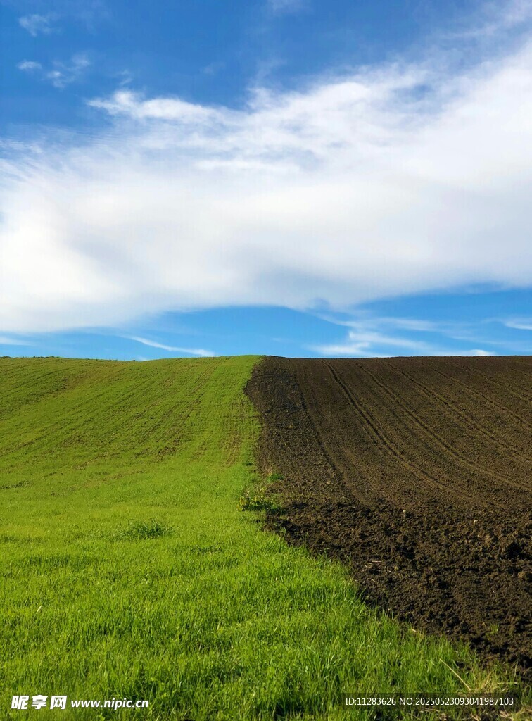 田野間的綠與黑土地分界