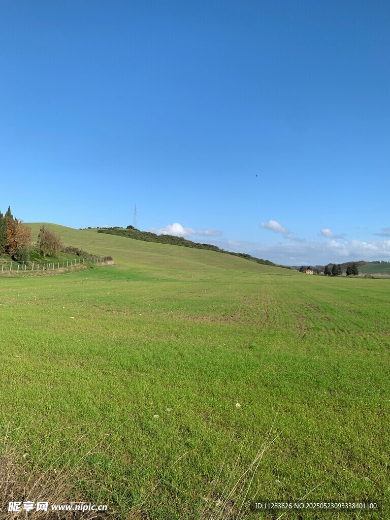 廣袤綠野藍(lán)天美景