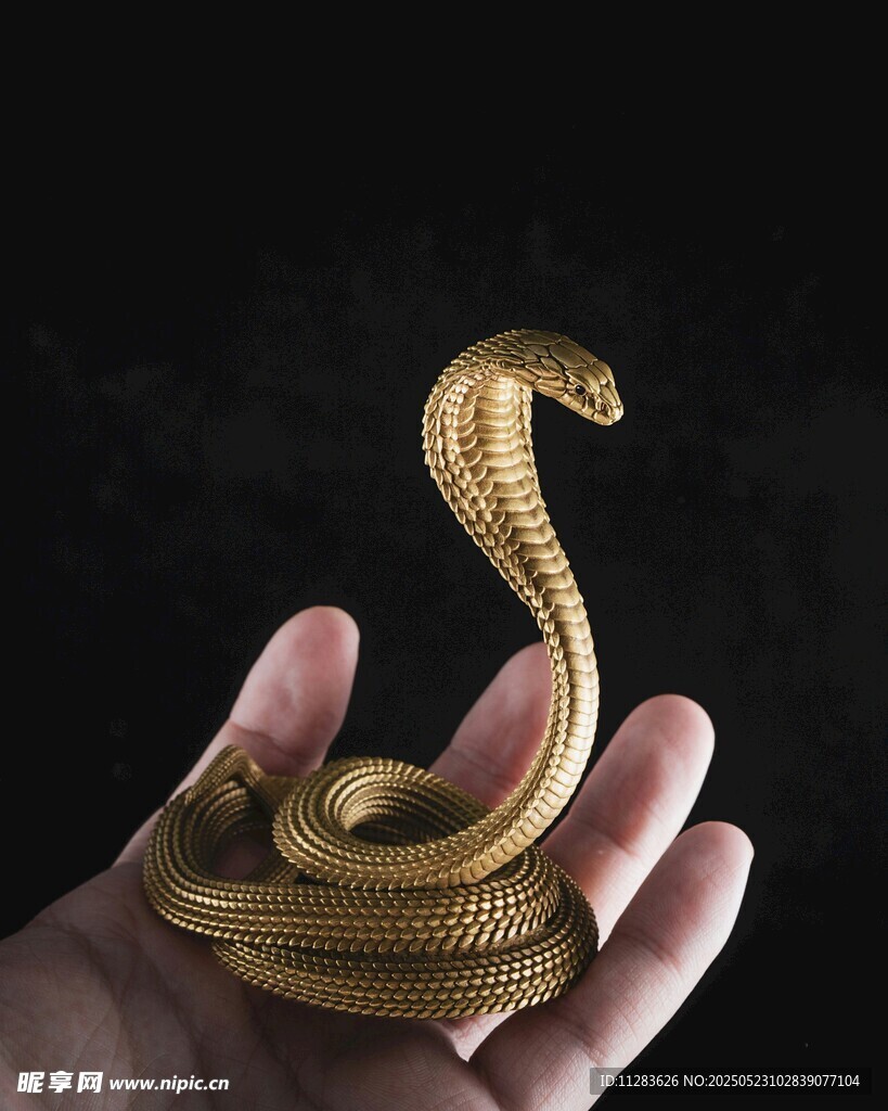 手中盤繞的金色眼鏡蛇
