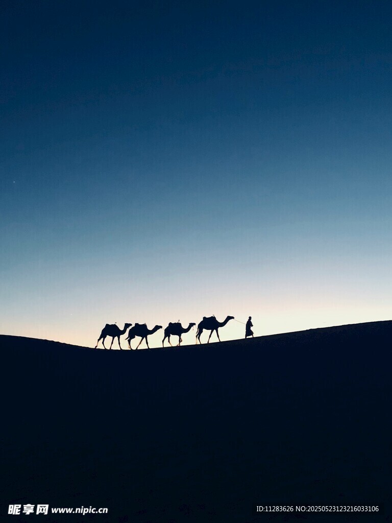 沙漠駝隊剪影