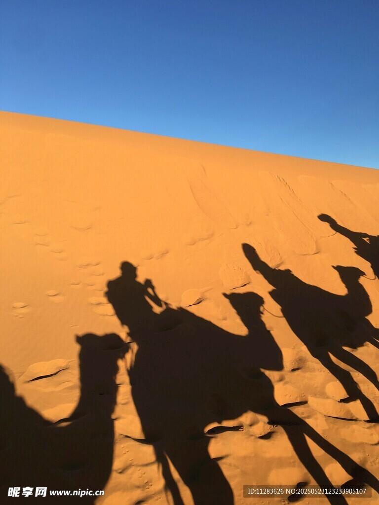 沙漠駝隊剪影