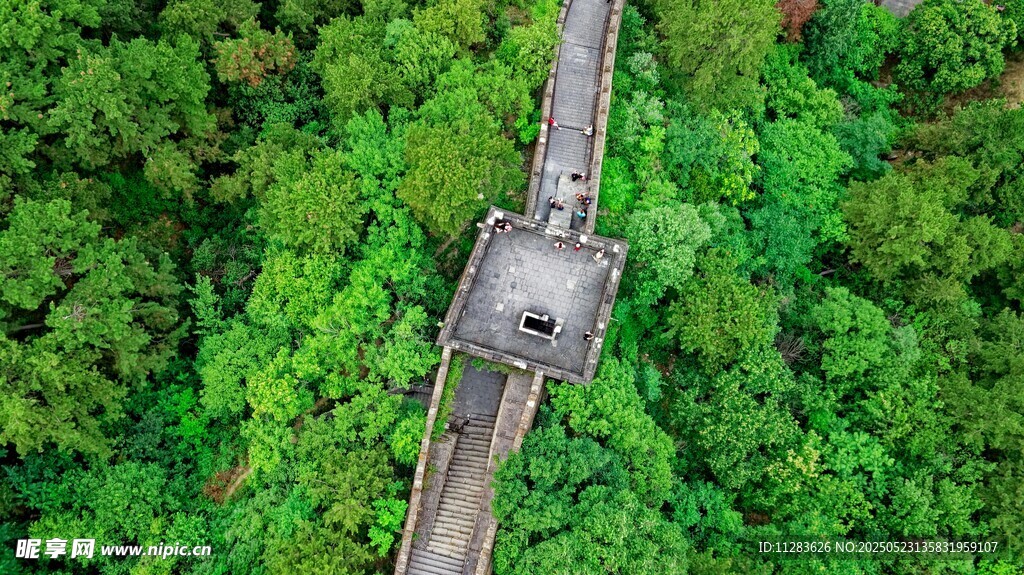 森林中的觀景棧道