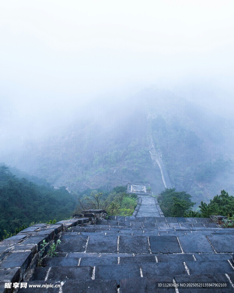 霧中棧道現山林美景