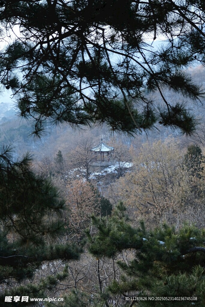 林間遠(yuǎn)眺湖景與船只