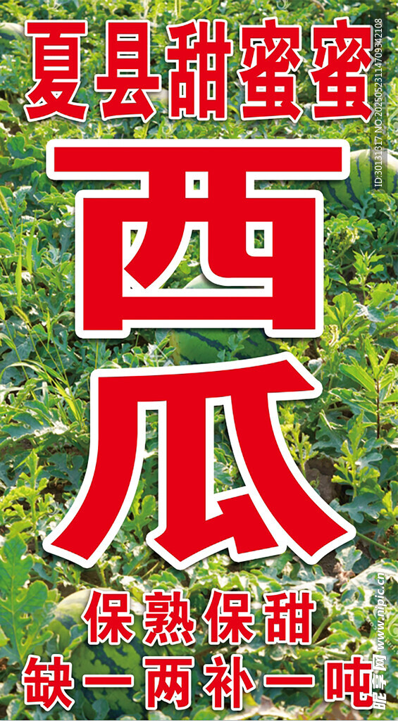 甜蜜蜜西瓜