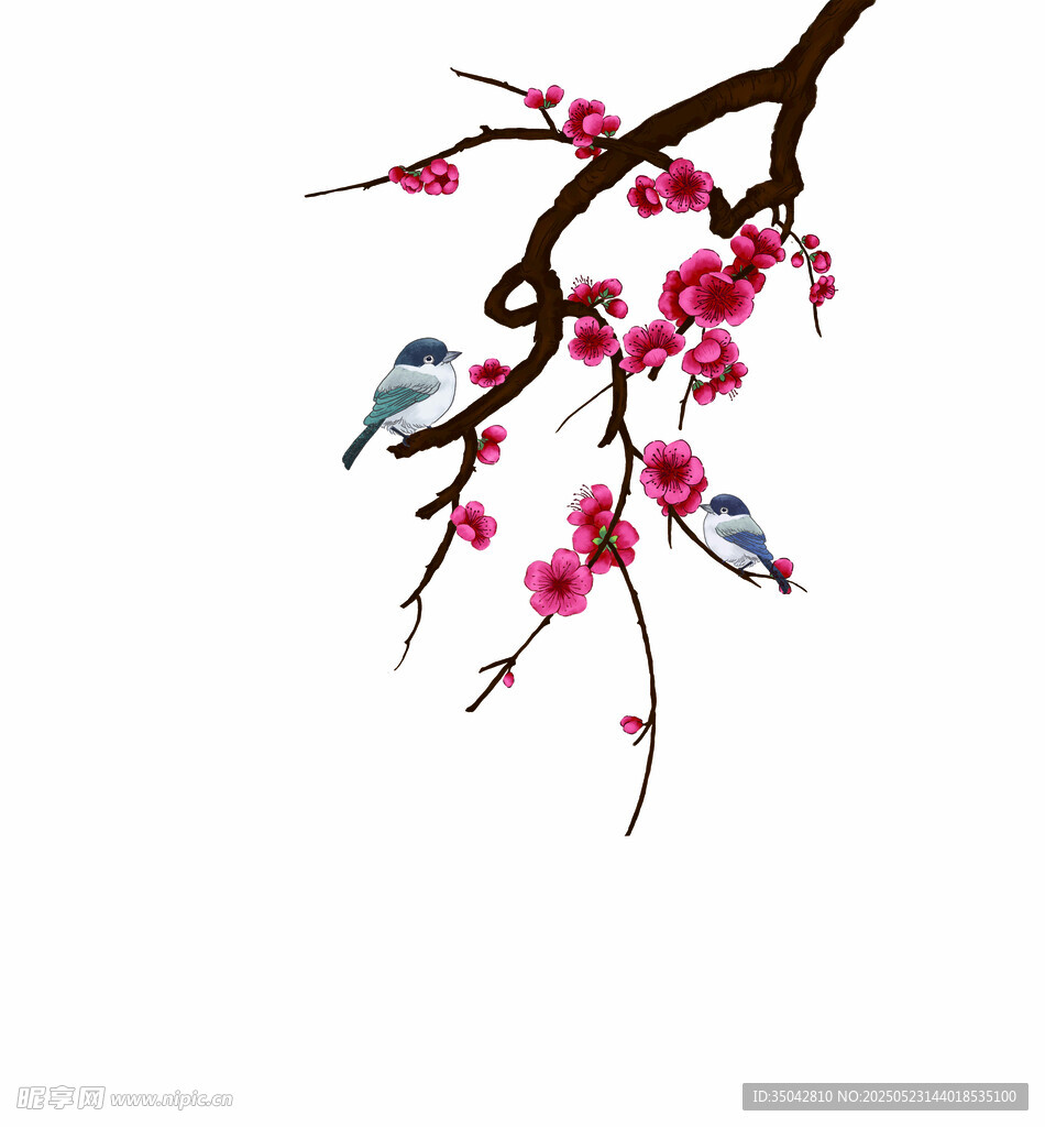 枝頭綻紅梅雙鳥棲枝間