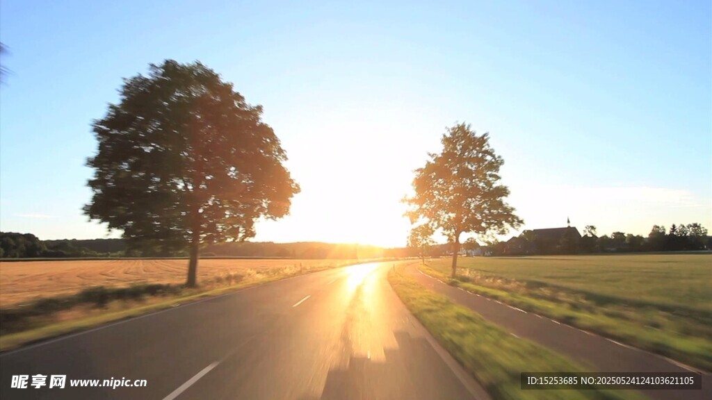 夕陽下路旁雙樹美景