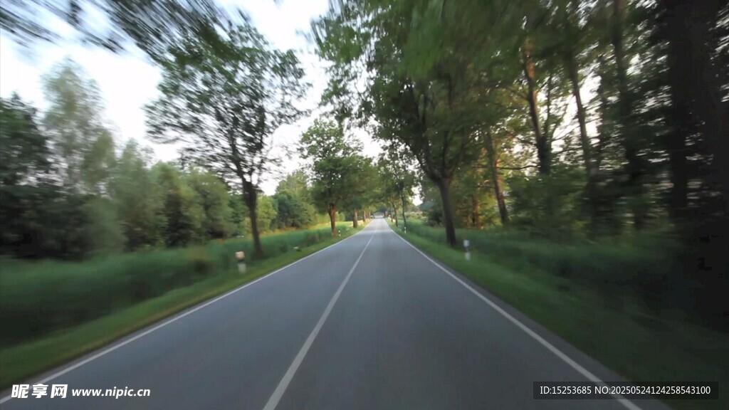 林間公路風景