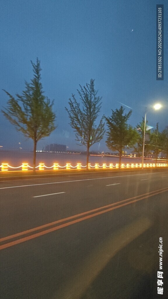 夜幕下的道路與樹木