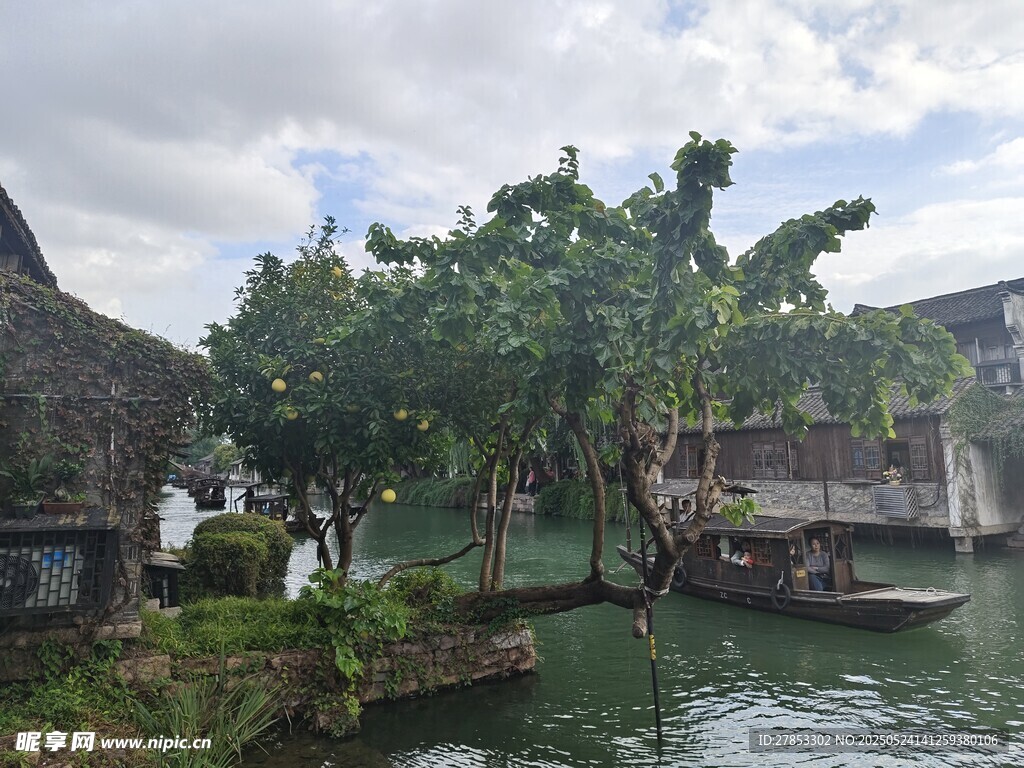 水鄉古景 綠樹環繞小船靜泊