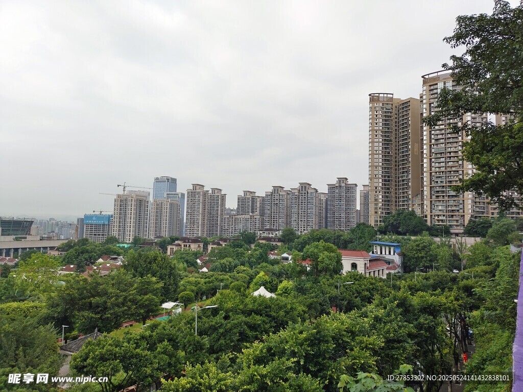 城市與綠植相映的景致