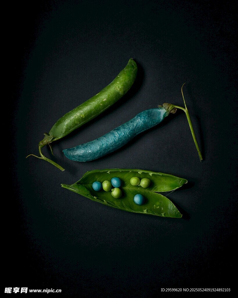多彩豌豆特寫