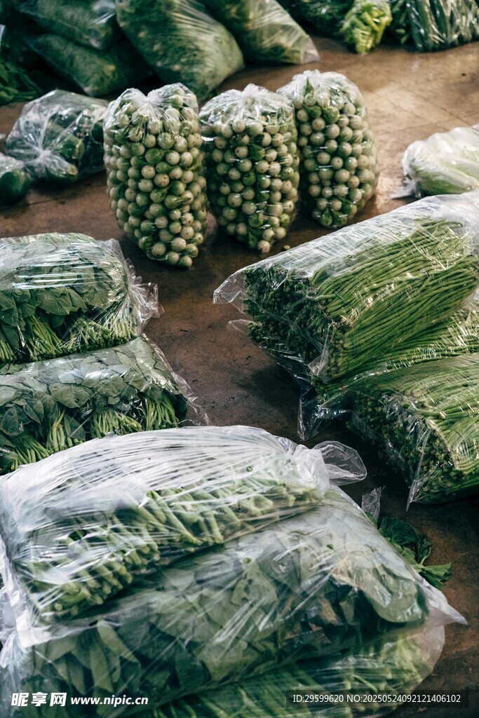 新鮮蔬菜整齊擺放