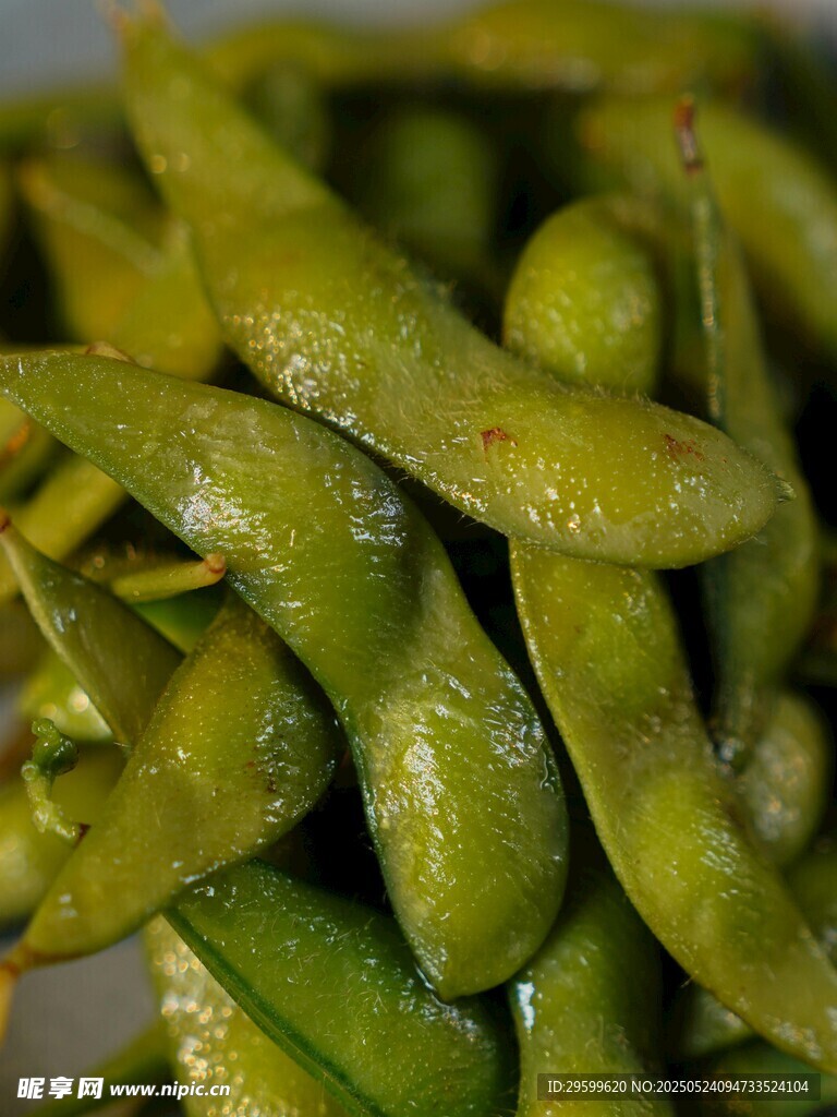 鮮嫩翠綠的美味毛豆