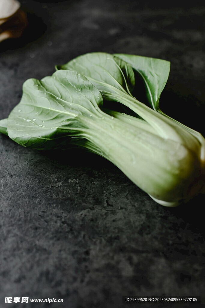 一顆新鮮的小白菜