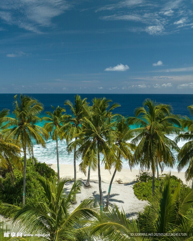 熱帶海灘椰林美景