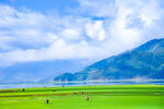 草原風(fēng)光 遠(yuǎn)處山巒與游人