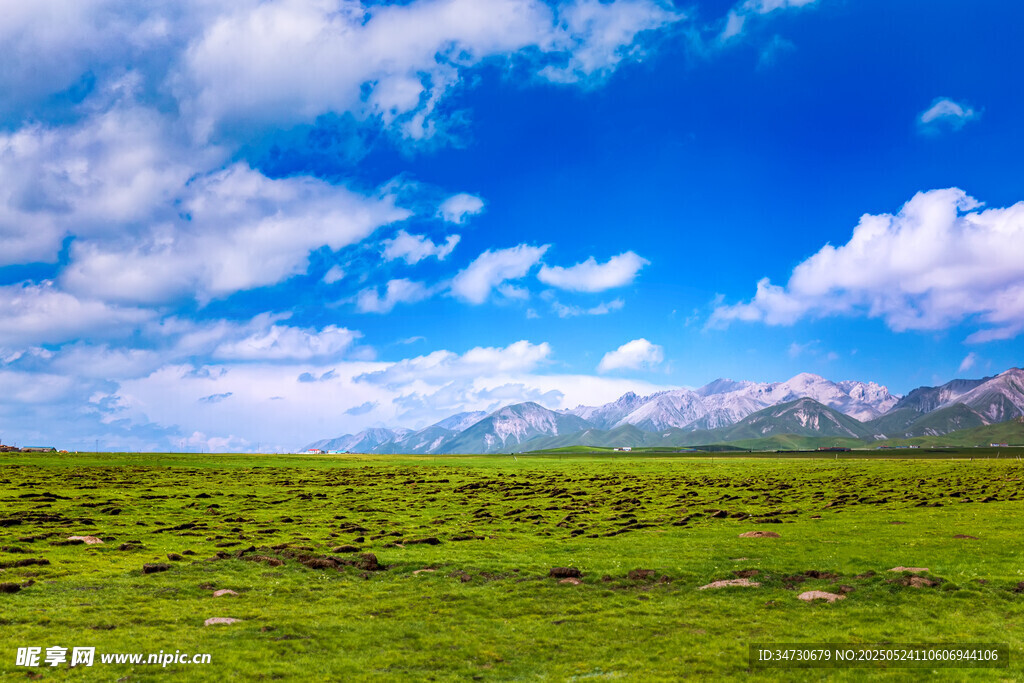 草原藍天美景