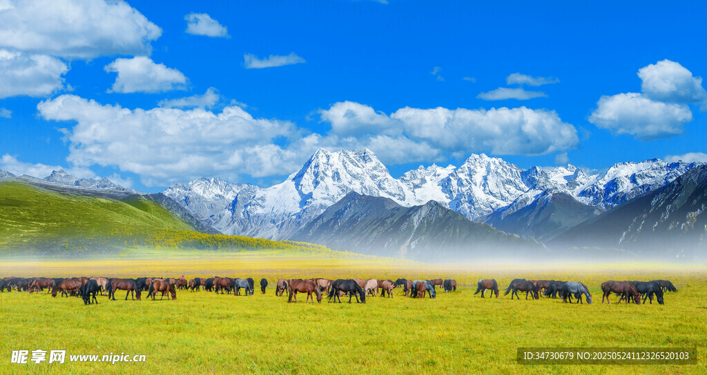 草原上的馬群與雪山美景