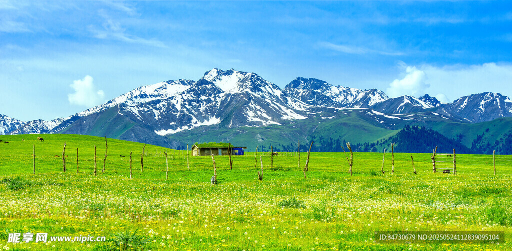 草原雪山美景