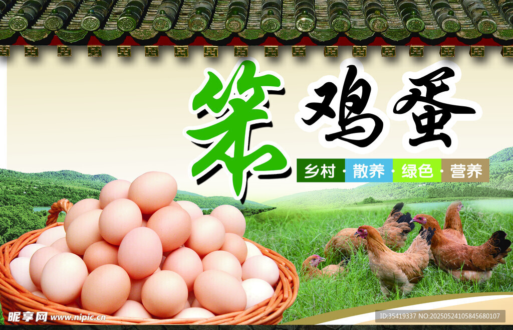 農家笨雞蛋 新鮮營養美味