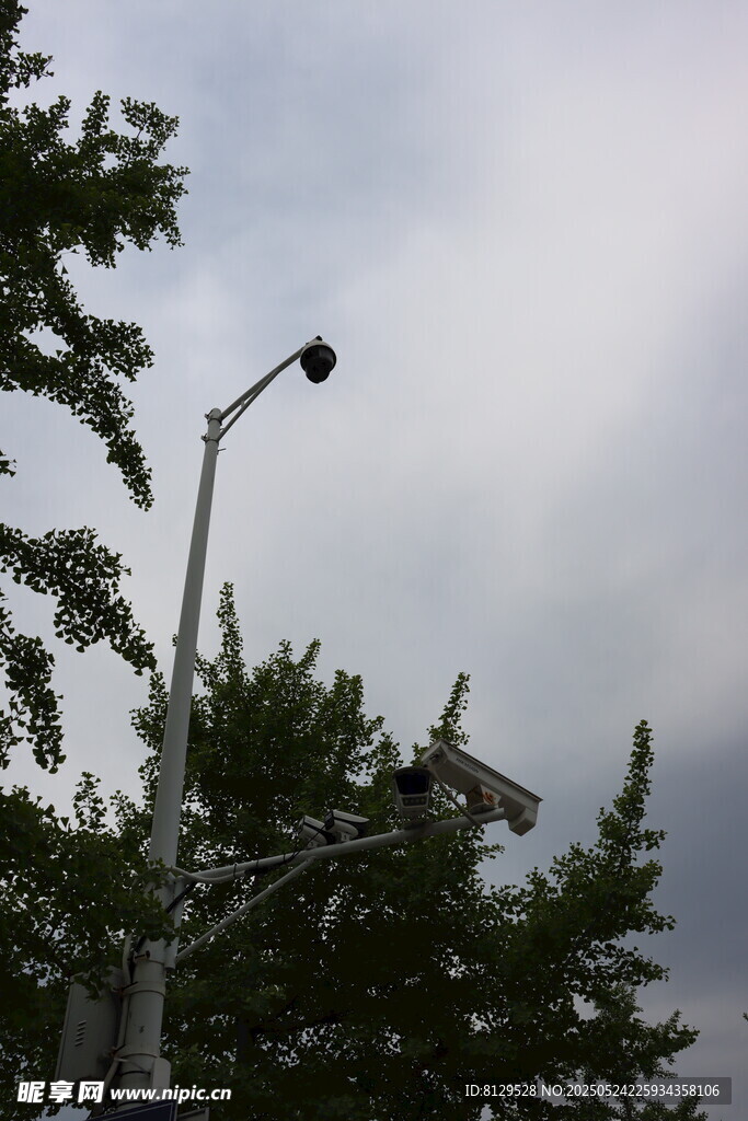 路燈立于綠樹與陰云下