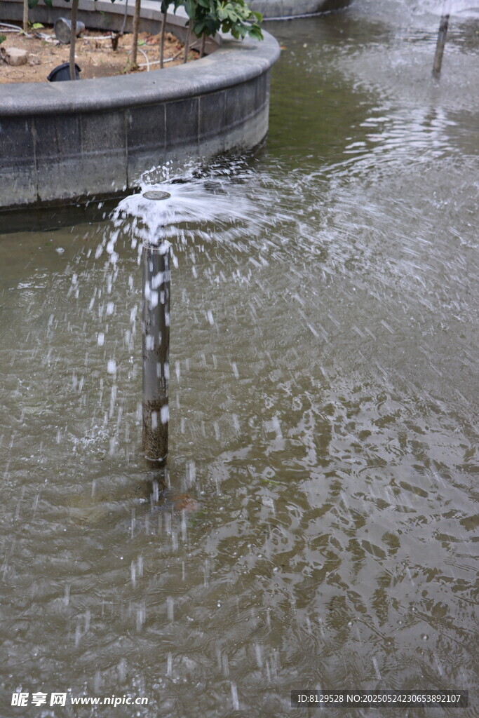 積水處噴泉涌出