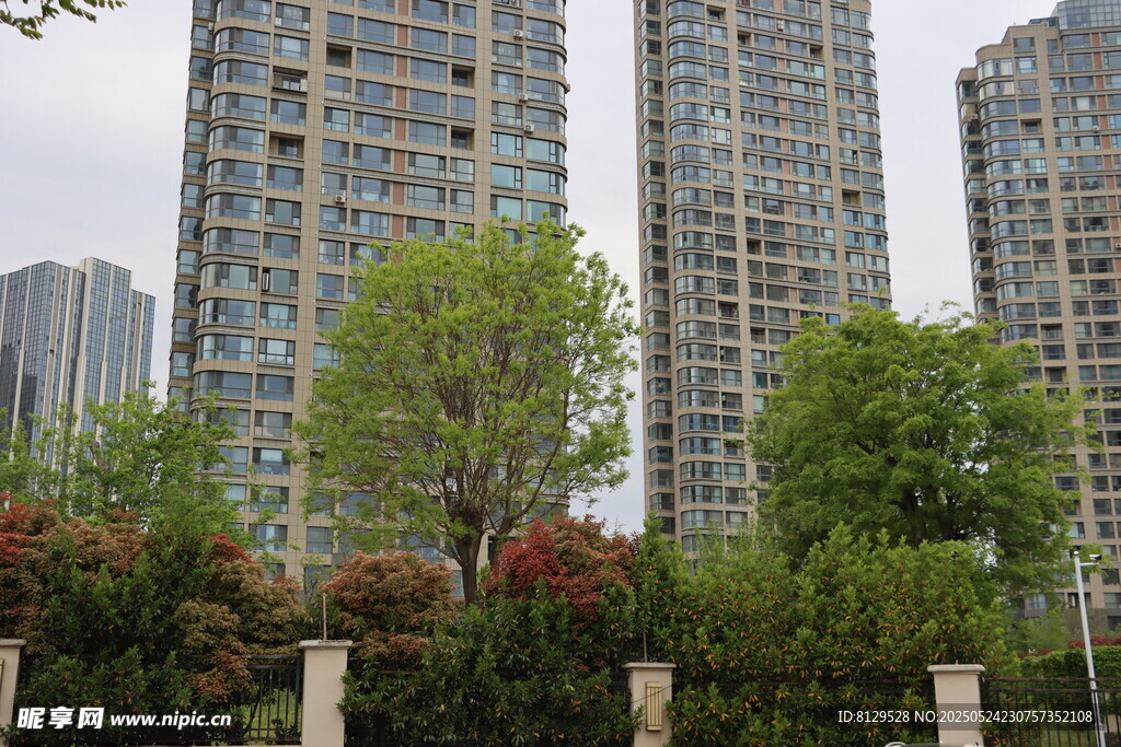 城市高樓旁的綠植景觀
