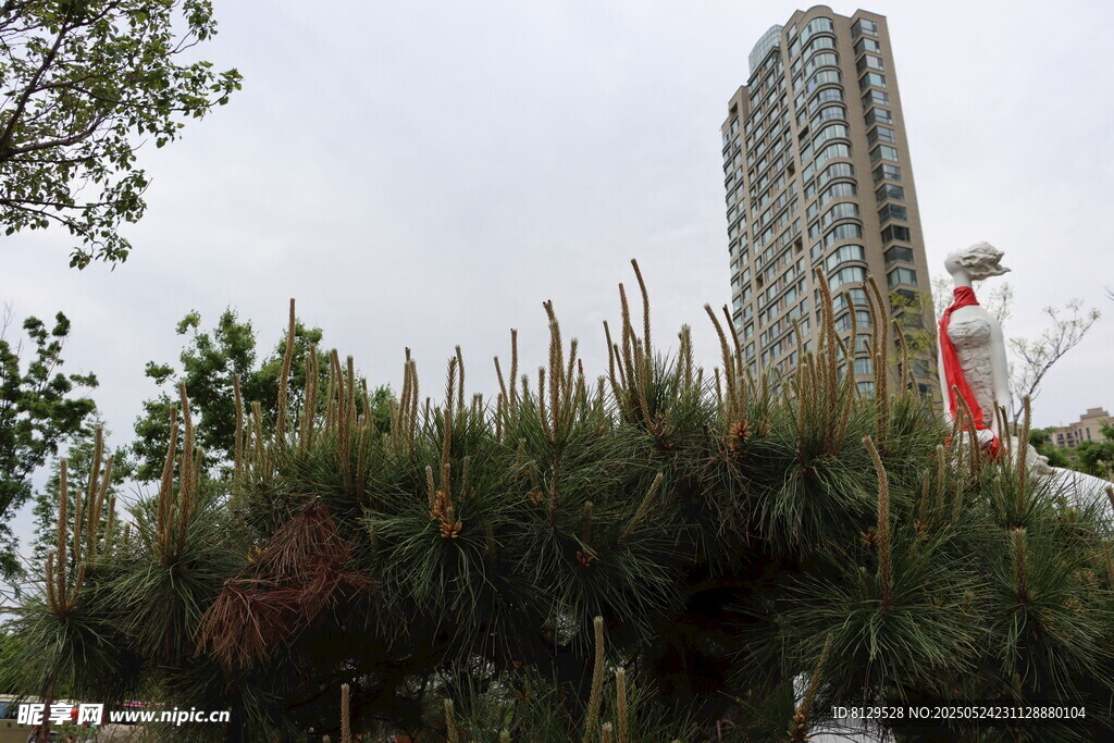 高樓前的綠植景觀