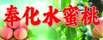 水蜜桃