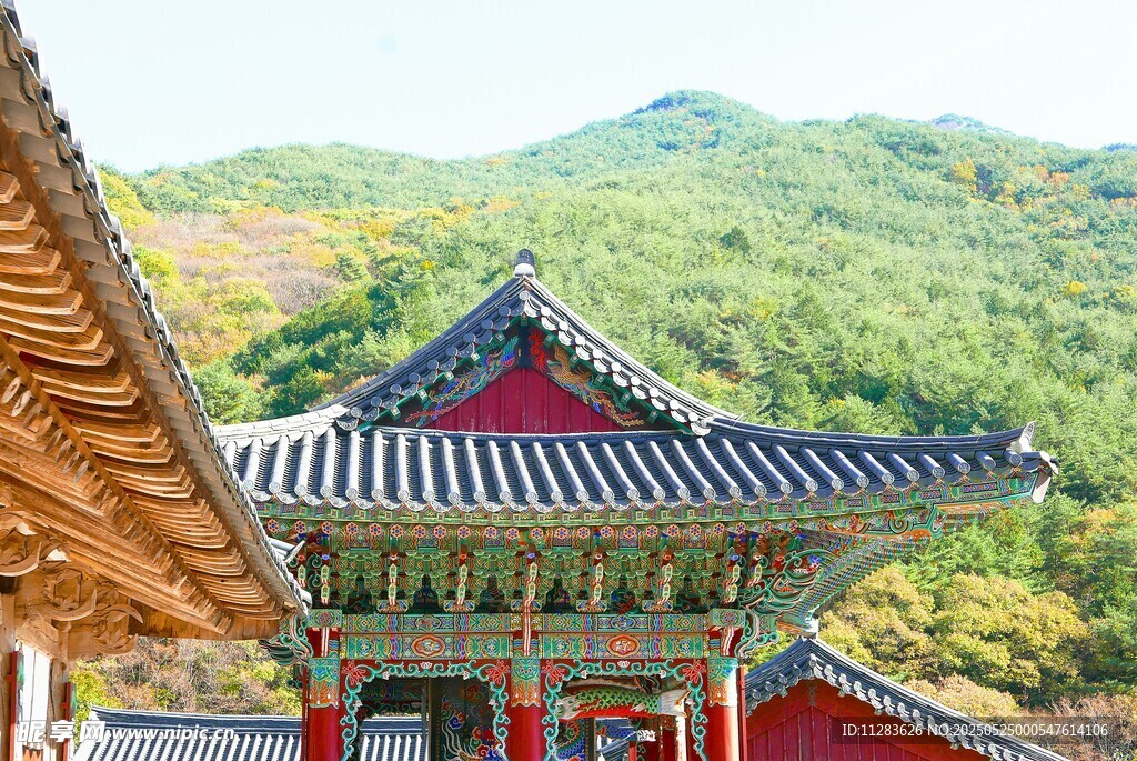 傳統韓式建筑屋頂景觀