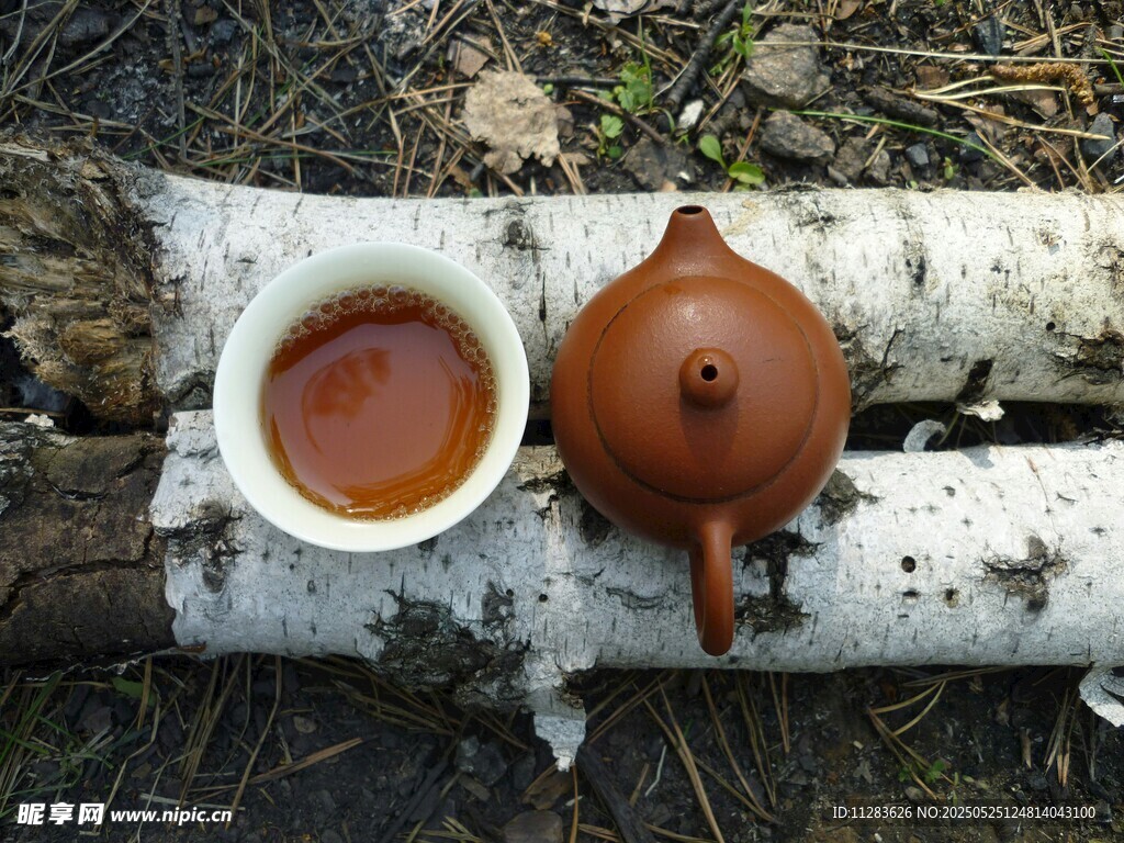 戶外木上的茶壺與茶杯