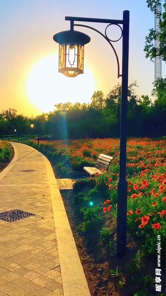 夕陽下路旁的溫馨路燈