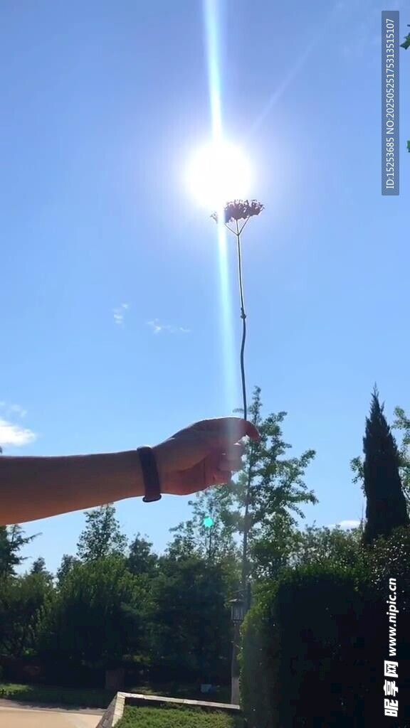 手舉煙花棒迎向陽光