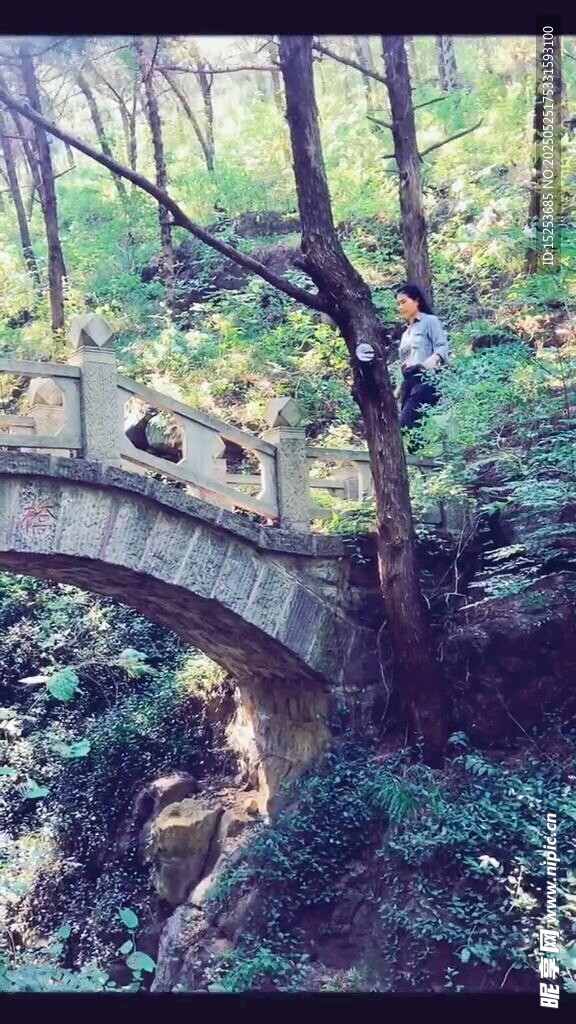 林間石橋隱于蔥郁草木
