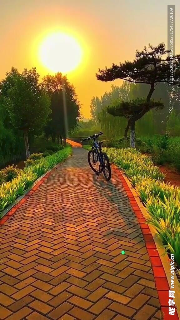 夕陽下的磚徑與自行車