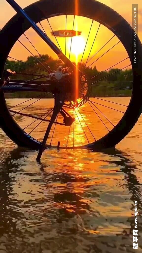 夕陽下水中的自行車輪