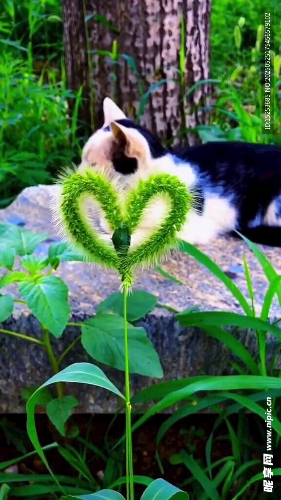小狗旁的綠色植物