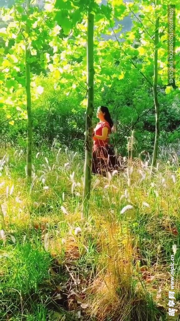 女子置身綠意盎然的林間