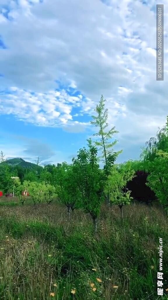 藍天白云下的綠野風光