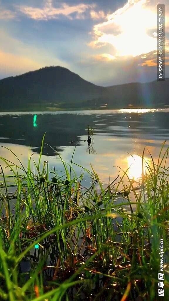湖畔晨光中的水草與遠山